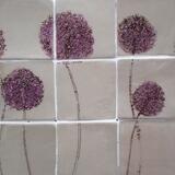 Tiles for Splashbacks and Hobs