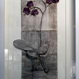 Purple Orchid