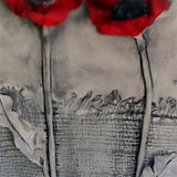 poppy picture - detail close up