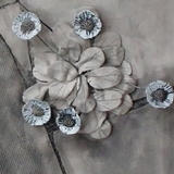 Yvonne's daisies - detail close up