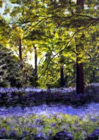 Bluebell Woods