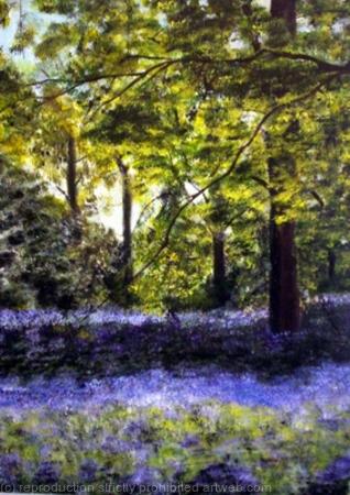Bluebell Woods