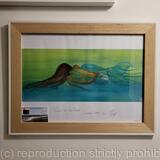 Don't Get Tied Down.. 