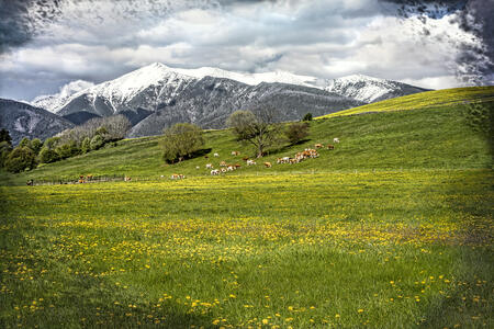 Pod Západnými Tatrami