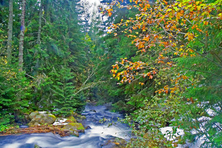 Jeseň v Západných Tatrách