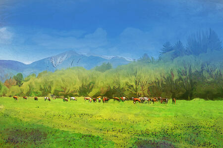 Kravy na paši / Cows on pasture