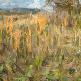 Letná lúka / Summer meadow