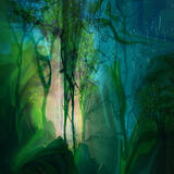 Zelená sonáta /Green Sonata