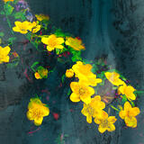 Yellowflowers II