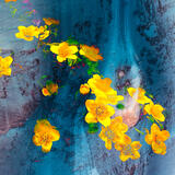 Yellowflowers III