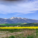 Polia pod Západnými Tatrami