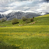 Pod Západnými Tatrami