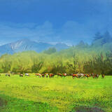 Kravy na paši / Cows on pasture