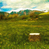 Jar pod Západnými Tatrami