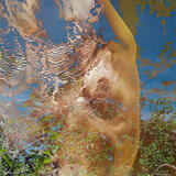 Farba a telo / Color and body