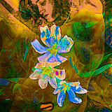 Žena z kvetov / Woman from flowers