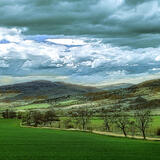 Cesta, pole a Podpolanie