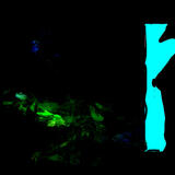 Pozdrav z blata / Greeting from the mud