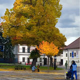 Farby jesene v Liptovskom Mikuláši / Autumn colors in Liptovský Mikuláš