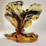 Chicken Licken, Laetiporus Sulphureus 2