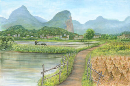 Among the Paddy Fields