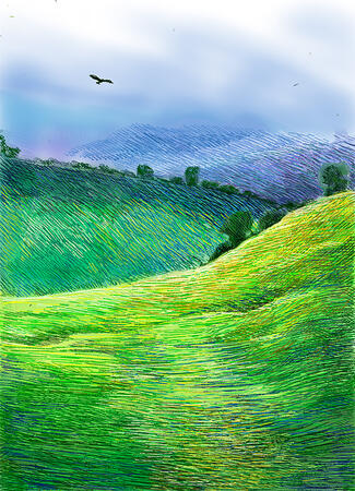 Bird Over the Hills