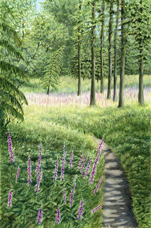 Foxglove Walk