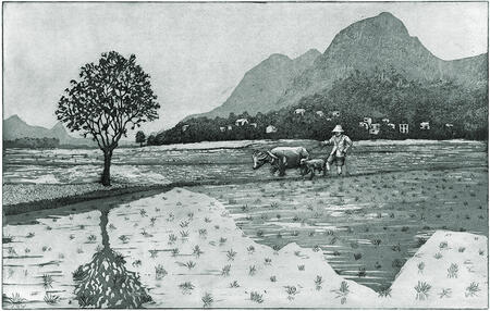 Towards Pudi Village, Guangzhou, Southern China