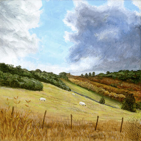 Gathering Clouds over the Meadow