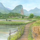 Among the Paddy Fields