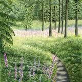 Foxglove Walk
