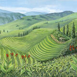 Rice Terraces near Pudi Village, Guangzhi