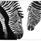 Black and White, White and Black