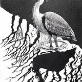 Heron Reflection