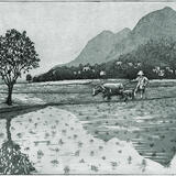 Towards Pudi Village, Guangzhou, Southern China