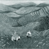 Longji Rice Terraces, Guangzhou, Southern China