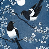 Moonlit Magpies
