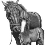 Horse and Foal