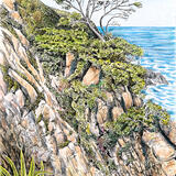 Jardins de Cap Roig Botanical Gardens