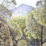 Distant Mountain, north Catalunia