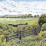 View Towards Robin Hood's Bay, N Yorkshire UK