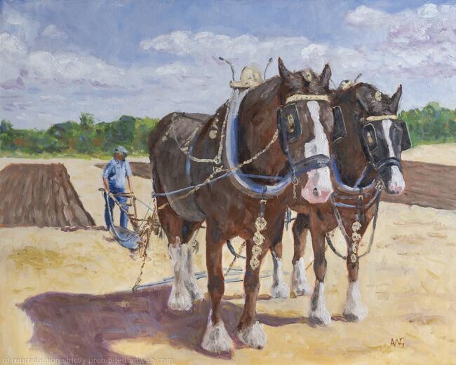 The Ploughing Competition 