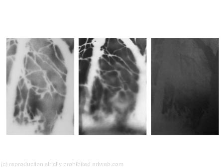 1C 13:12 Through a Glass Darkly (Au Travers un Miroir)