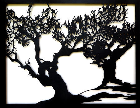 Vinaros II (Olivo milenario 69)