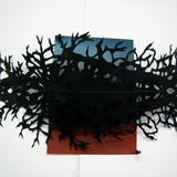 War Wood background study