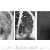 1C 13:12 Through a Glass Darkly (Au Travers un Miroir)