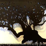 Alcanar III (Olivo milenario 765