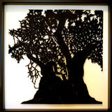 Arion II (Olivo milenario 1.498)