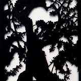 Arion III (Olivo milenario 1.498)