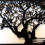 Vinaros I (Olivo milenario 69)